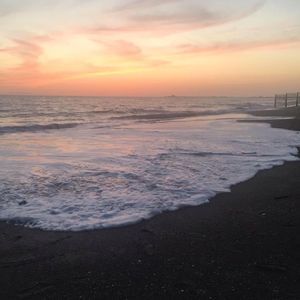 Meet your Posher, Ninfa